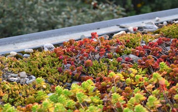 the cost of Little Ouse green roof installation