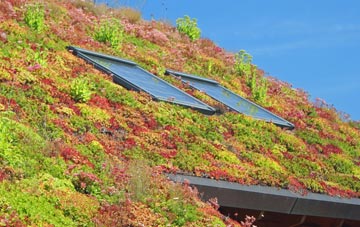 Little Ouse living roof systems